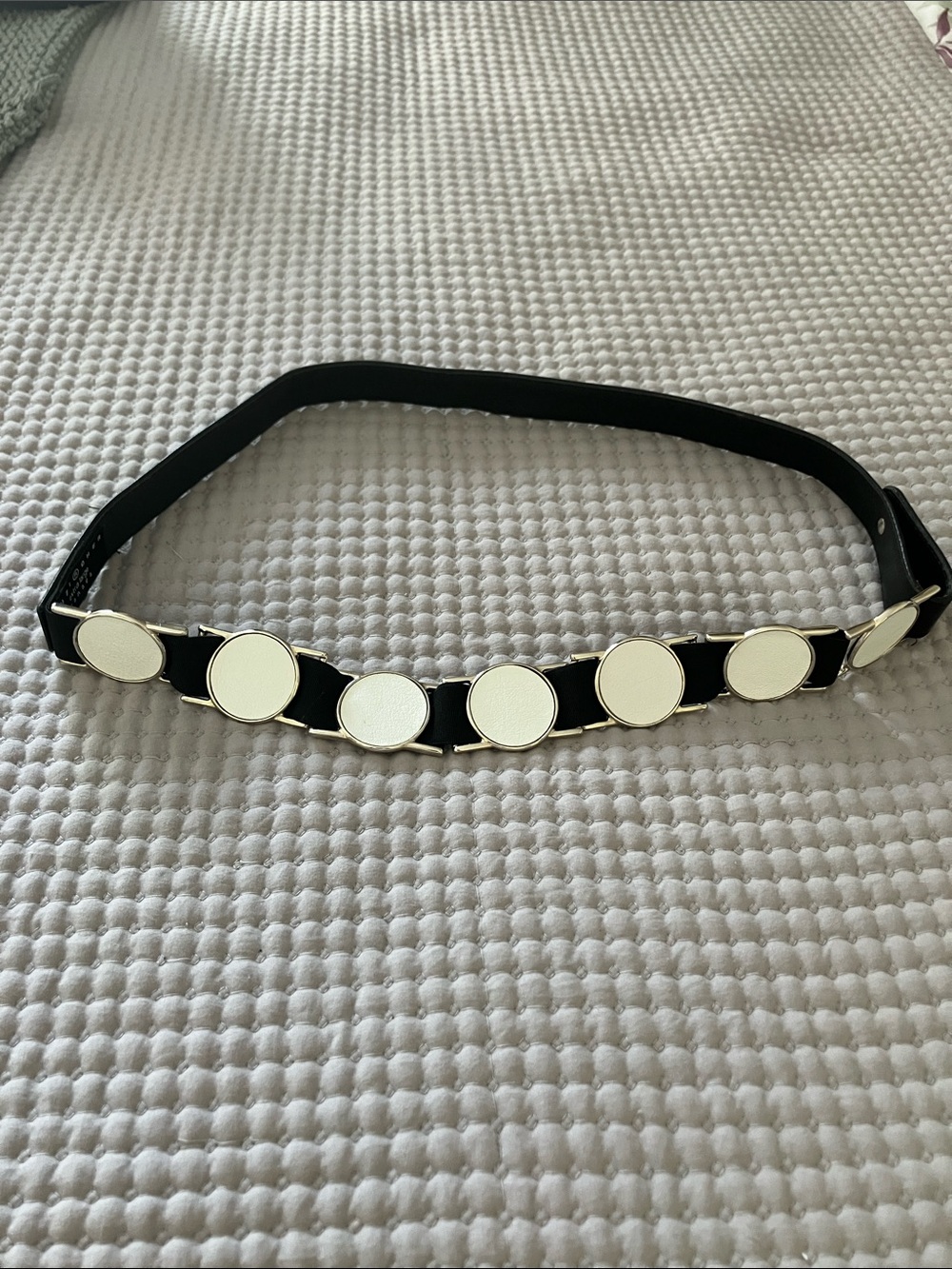 Suzi Roher Black Stretch Belt with Silver-Trimmed White Discs